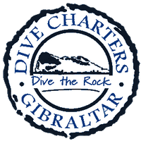 Dive Charters(@divecharters) 's Twitter Profile Photo