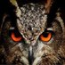 algebraofowls (@algebraofowls) Twitter profile photo algebraofowls (@algebraofowls) Twitter profile photo