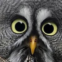 JleCroisPas (@ctincroyable) 's Twitter Profile