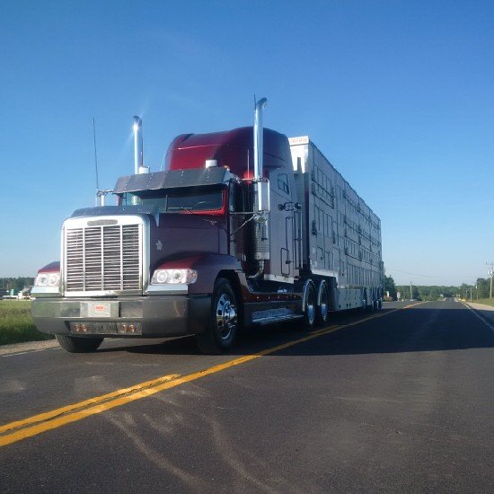 Luckhart Transport Limited  is a third generation, family run business that has been in operation since 1951.