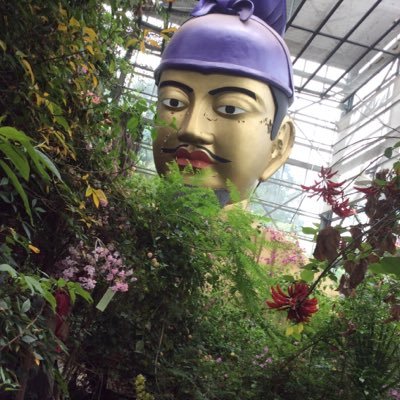 TPkeG2dtdJSwOKE's profile picture. 