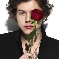 Profile Picture of DMs Storage (@DavidMaslow16) on Twitter