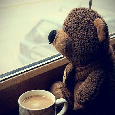 werwrrwer1234's profile picture. 