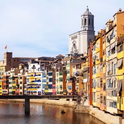 sisupeya's profile picture. 