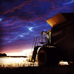 A partner in a family farm that is intent on providing opportunities for the next generation. A workaholic with tendencies of seasonal irresponsibility.