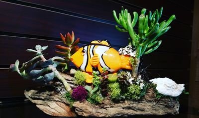 sac_gardens's profile picture. 