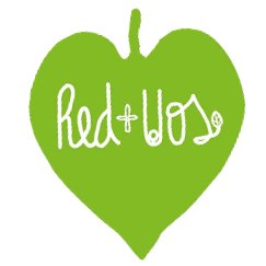 Red+Vos, Movimiento Latinoamericano de Jóvenes por el Desarrollo Sustentable