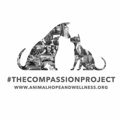 PetOwnerPower's profile picture. Pet Owners have the #Power to choose where they spend their money. That choice gives us the power to stop animal cruelty.