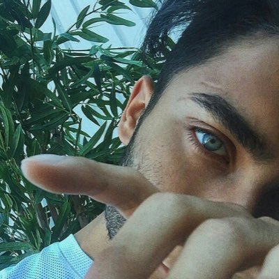 tonirpgsa's profile picture. bipolaire