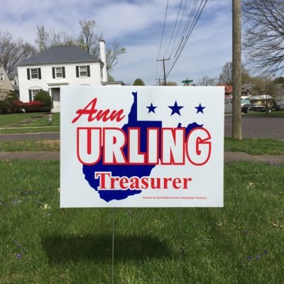 Mother, Wife, VP of Summit Community Bank, President of the Board of the Childhood Learning Center, and Republican nominee for West Virginia State Treasurer.