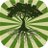 gopoetree's profile image