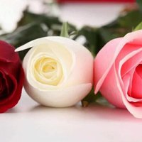 redazaky (@redazaky3) 's Twitter Profile