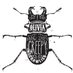 The Creepy Crawlies (@oatccband) Twitter profile photo The Creepy Crawlies (@oatccband) Twitter profile photo