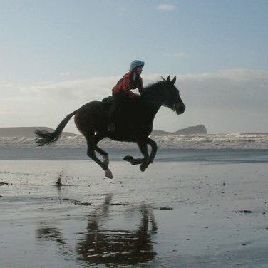 Lara_Joslin's profile picture. 