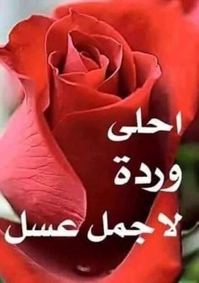 زوجة وام مقيمة في الامارات