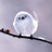 nurmex's profile image