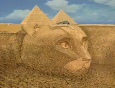 marjinalutility's profile picture. 