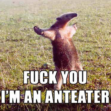 We are the mighty Anteaters. Hear us roar. Evil C is our King.