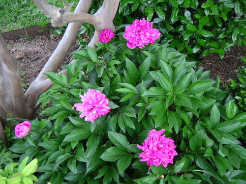 bjking45's profile picture. 