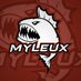 Myleux (@myleux) Twitter profile photo