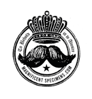 specimans's profile picture. Beards go on display at the Chelsea Market in NYC, May 9th - June 30th, 2010. SHAVE THE DATE.