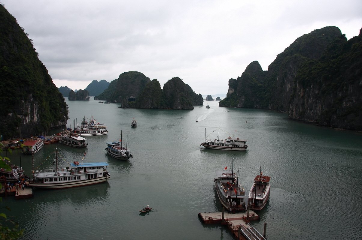 mortar81's profile picture. 