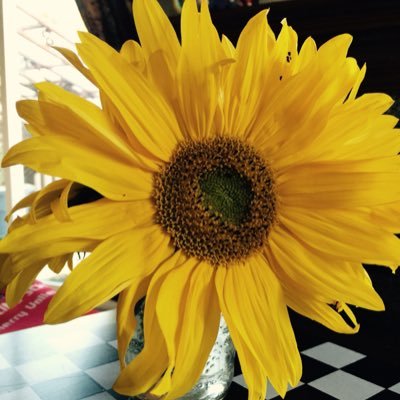 thelocalh's profile picture. 