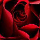 amorislove4's profile picture. Here I'll Iike to help you fine a good website so you can fine sexy singles.And the good thing is that  it's free to join.