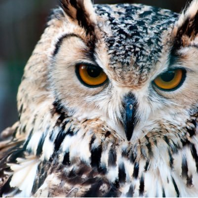 nhdqc734's profile picture. よろしく！