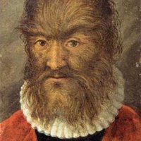Petrus Gonsalvus, Tessera n.1 di Italia Viva (@p_gonsalvus) 's Twitter Profile
