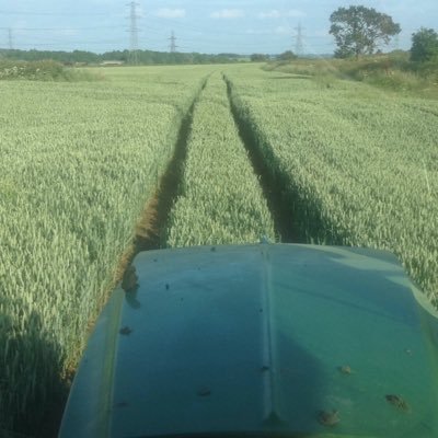 andy_j_lacey's profile picture. Family farming in Leicestershire.