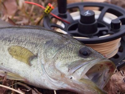 ivNCeMaf1HOIVgM's profile picture. 釣りの好きな人