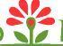 Wholesale Fresh Flowers for Weddings,Parties or any 
other event. Affordable prices. We ship directly from the farm to your doorstep. Free Shipping.