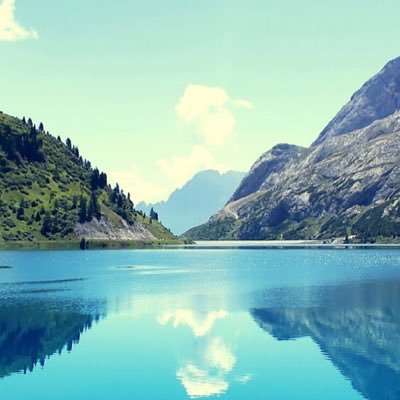 ailwaleed10's profile picture. أحب الله