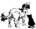 TLC Animal Shelter website updates and breaking news