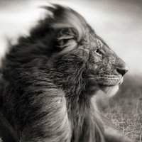 David Le Faucheur (@webqualite) 's Twitter Profile