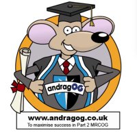 andragOG (@andrag_og) 's Twitter Profile Photo andragOG (@andrag_og) 's Twitter Profile Photo