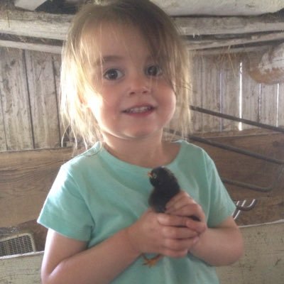 DenimLayton's profile picture. Gaint pumpkin grower #GVGO member,Goat framer and Activist for balding men