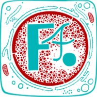 ForMedFilms (@formedfilms) Twitter profile photo