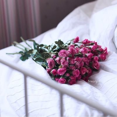 سوف يأتي يوم لا اكون هنا فإذا وجدتم ما يؤجرني فأنشروه وإذا وجدتم ما يؤثمني فأتركوة -احسن خاتمتي يا الله -
سرابٌ هذهِ الدُنيا ، وجنةُ ربّنا البُغيا