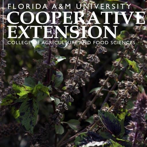 FAMU Extension provides research-based educational information & direct technical assistance to improve the quality of life for limited resource citizens in FL.