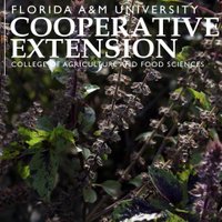 FAMU Cooperative Extension Program (@famuext) 's Twitter Profile