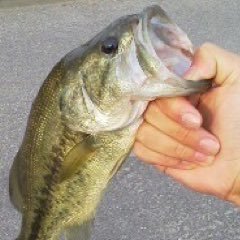 yujibassfishing's profile picture. バスフィッシング最高！！ 釣りに行こう！