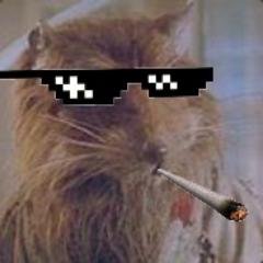 Lmaoxdmemer's profile picture. LMAO minecraft is life csgo was so last year