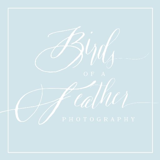 Birds of a Feather Photograph, LLC. Documentary & Fine Art Wedding Photography. It's your love story...let us tell it.