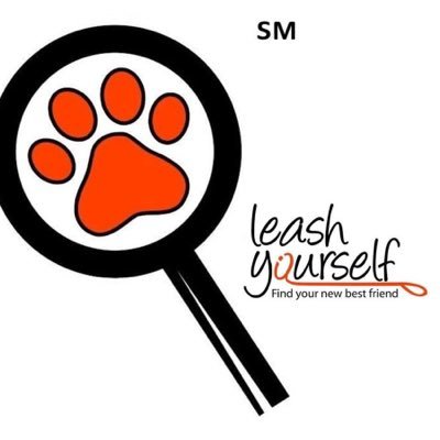 @LeashYourself. @LYRescuePets. @BoopMyNose. Account for Leash Yourself Organizations & PAWtners. List your pet organization in our database for free!