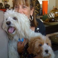 Vintage Imagine (@vintageimagine) 's Twitter Profile Photo Vintage Imagine (@vintageimagine) 's Twitter Profile Photo