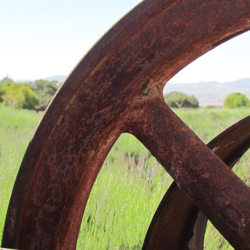 ensclauren's profile picture. 