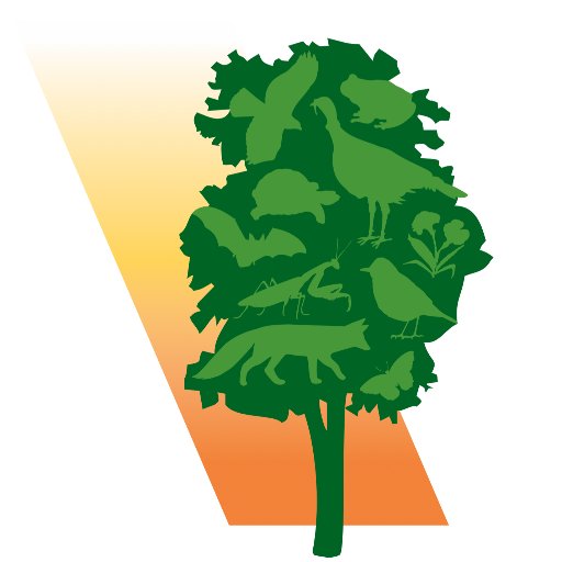 The New Canaan Land Trust is a nationally accredited non-profit working to engage the New Canaan community in the conservation and stewardship of open space.