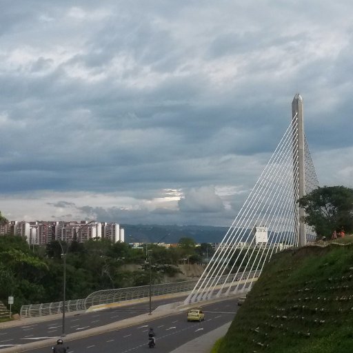 mcdh1712's profile picture. 